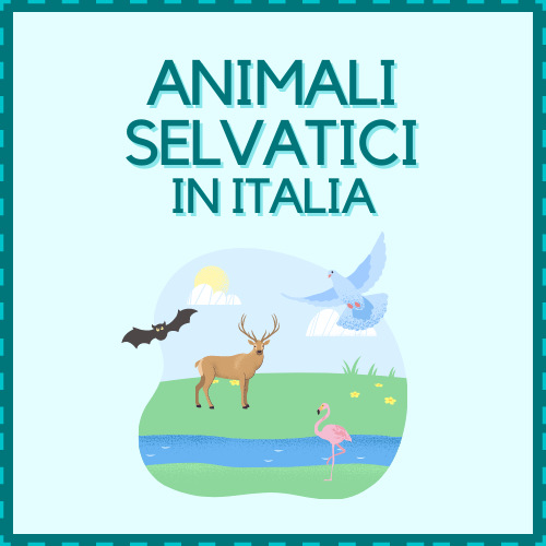 Animali selvatici in Italia – Translingual